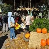 Adventureland - Pumpkin Park photo