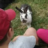 Bowers School Farm Fall Festival photo