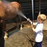Bowers School Farm Fall Festival photo
