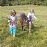 Bowers School Farm Fall Festival photo