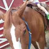 Bowers School Farm Fall Festival photo