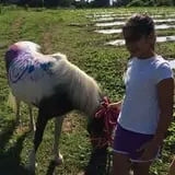 Bowers School Farm Fall Festival photo