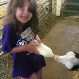 Bowers School Farm Fall Festival photo