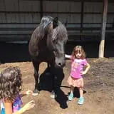 Bowers School Farm Fall Festival photo