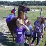 Bowers School Farm Fall Festival photo