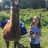 Bowers School Farm Fall Festival photo