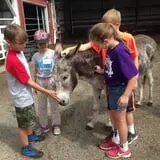 Bowers School Farm Fall Festival photo