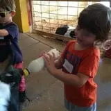 Bowers School Farm Fall Festival photo