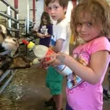 Bowers School Farm Fall Festival photo