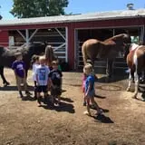 Bowers School Farm Fall Festival photo