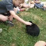 Bowers School Farm Fall Festival photo
