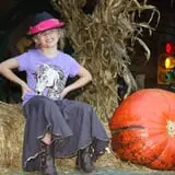 Berry Patch Farms photo