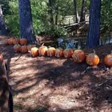 Berry Patch Farms photo