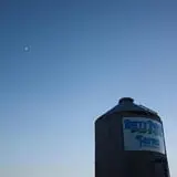 Berry Patch Farms photo