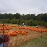 Berry Patch Farms photo
