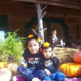 Berry Patch Farms photo