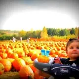Berry Patch Farms photo