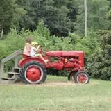 Berry Patch Farms photo