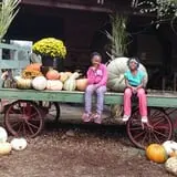 Berry Patch Farms photo
