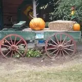 Berry Patch Farms photo