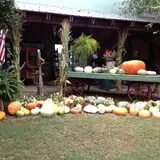 Berry Patch Farms photo