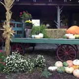 Berry Patch Farms photo
