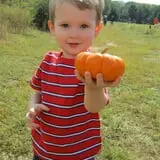 Berry Patch Farms photo