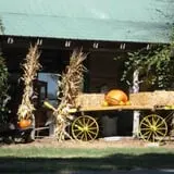 Berry Patch Farms photo
