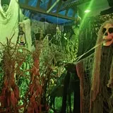 Haunted Museum  photo