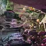 Haunted Museum  photo