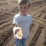 Twin Cities Harvest Festival and Maze photo