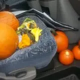 Twin Cities Harvest Festival and Maze photo