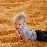 Twin Cities Harvest Festival and Maze photo