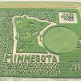 Twin Cities Harvest Festival and Maze photo