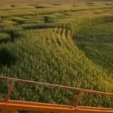 Twin Cities Harvest Festival and Maze photo