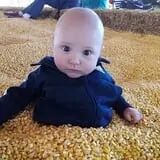 Twin Cities Harvest Festival and Maze photo