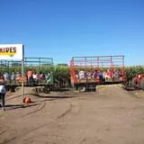 Twin Cities Harvest Festival and Maze photo