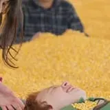 Twin Cities Harvest Festival and Maze photo