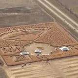 Twin Cities Harvest Festival and Maze photo