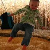 Twin Cities Harvest Festival and Maze photo