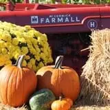 Twin Cities Harvest Festival and Maze photo