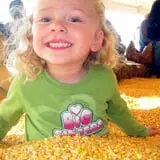Twin Cities Harvest Festival and Maze photo