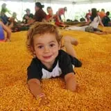 Twin Cities Harvest Festival and Maze photo