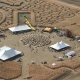 Twin Cities Harvest Festival and Maze photo