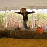 Twin Cities Harvest Festival and Maze photo