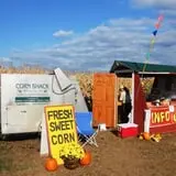 Twin Cities Harvest Festival and Maze photo