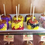 Center Grove Orchard photo