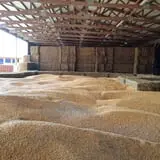 Center Grove Orchard photo