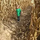 Pin Oak Farms U-Pick Pumpkin Patch photo