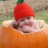 Pin Oak Farms U-Pick Pumpkin Patch photo